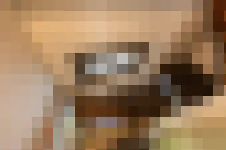 Brugweg 1 c Velp thumbnail 14