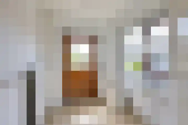Brugweg 1 c Velp thumbnail 22