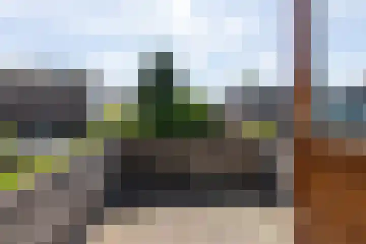 Brugweg 1 c Velp thumbnail 23