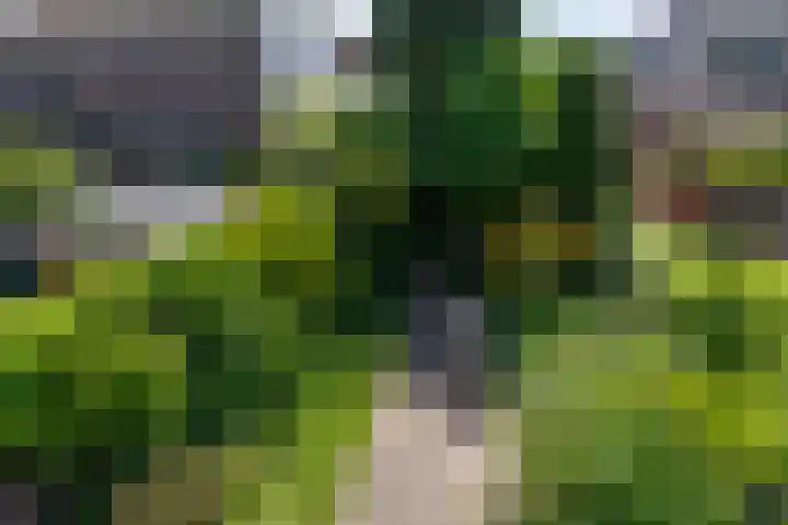 Brugweg 1 c Velp thumbnail 25
