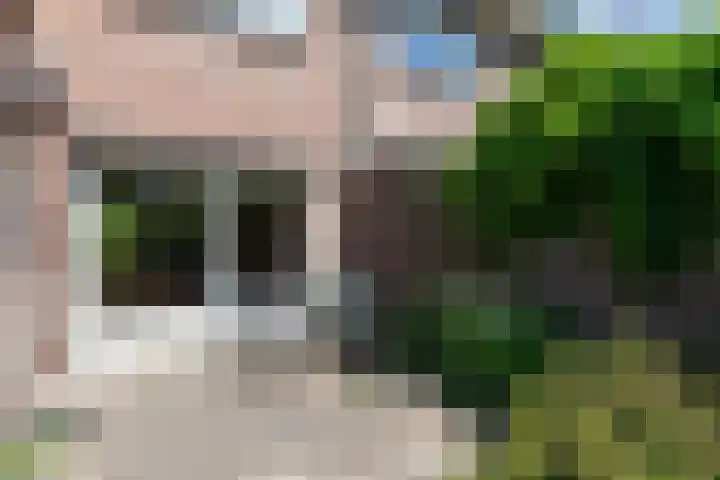 Brugweg 1 c Velp thumbnail 31