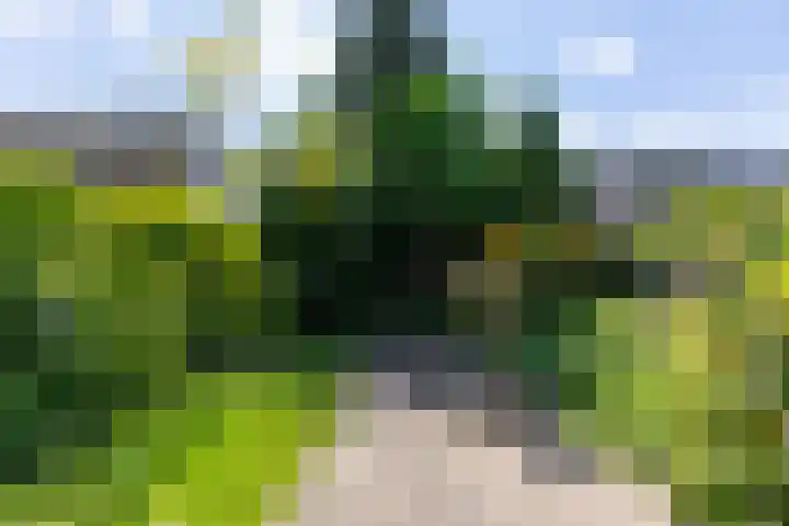 Brugweg 1 c Velp thumbnail 32