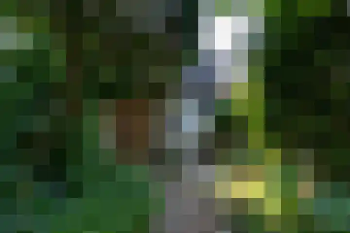 Brugweg 1 c Velp thumbnail 33
