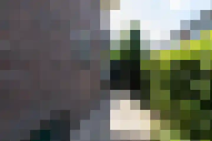 Brugweg 1 c Velp thumbnail 34