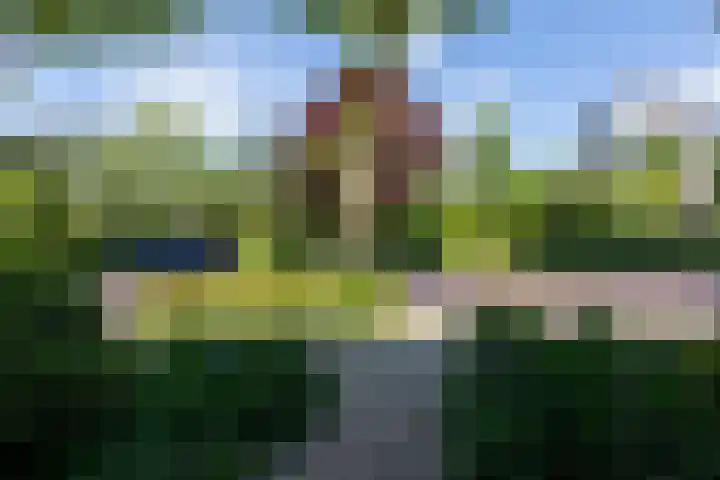 Brugweg 1 c Velp thumbnail 35