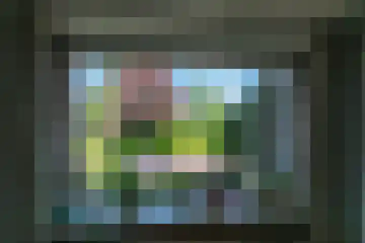Brugweg 1 c Velp thumbnail 6