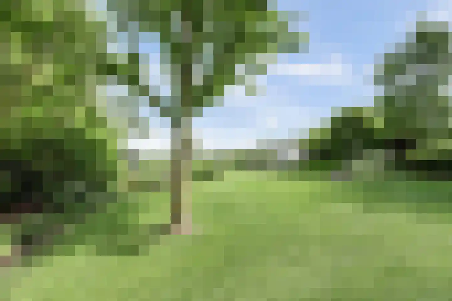 Brugweg 102 B Waddinxveen thumbnail 56