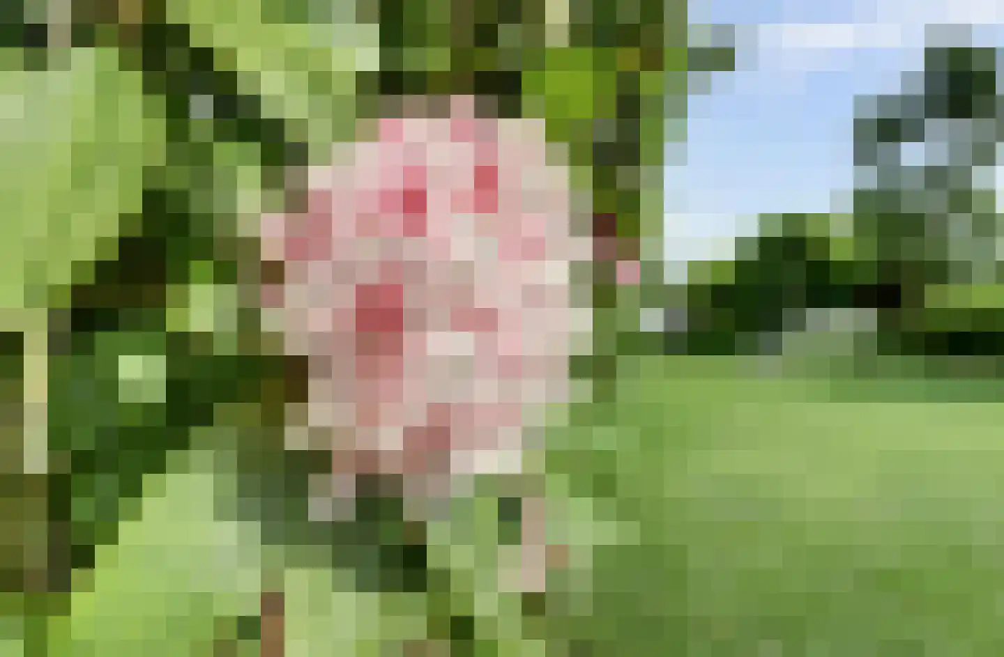 Brugweg 102 B Waddinxveen thumbnail 67