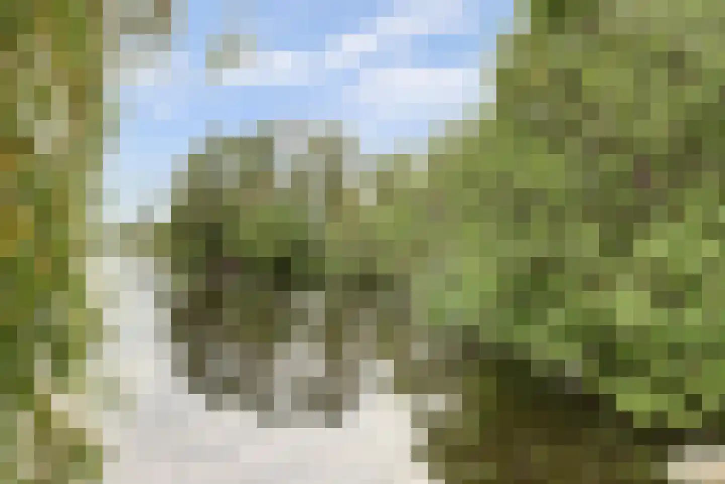 Brugweg 102 B Waddinxveen thumbnail 69