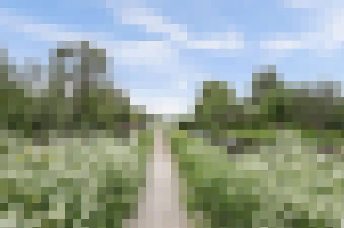 Brugweg 102 B Waddinxveen thumbnail 71