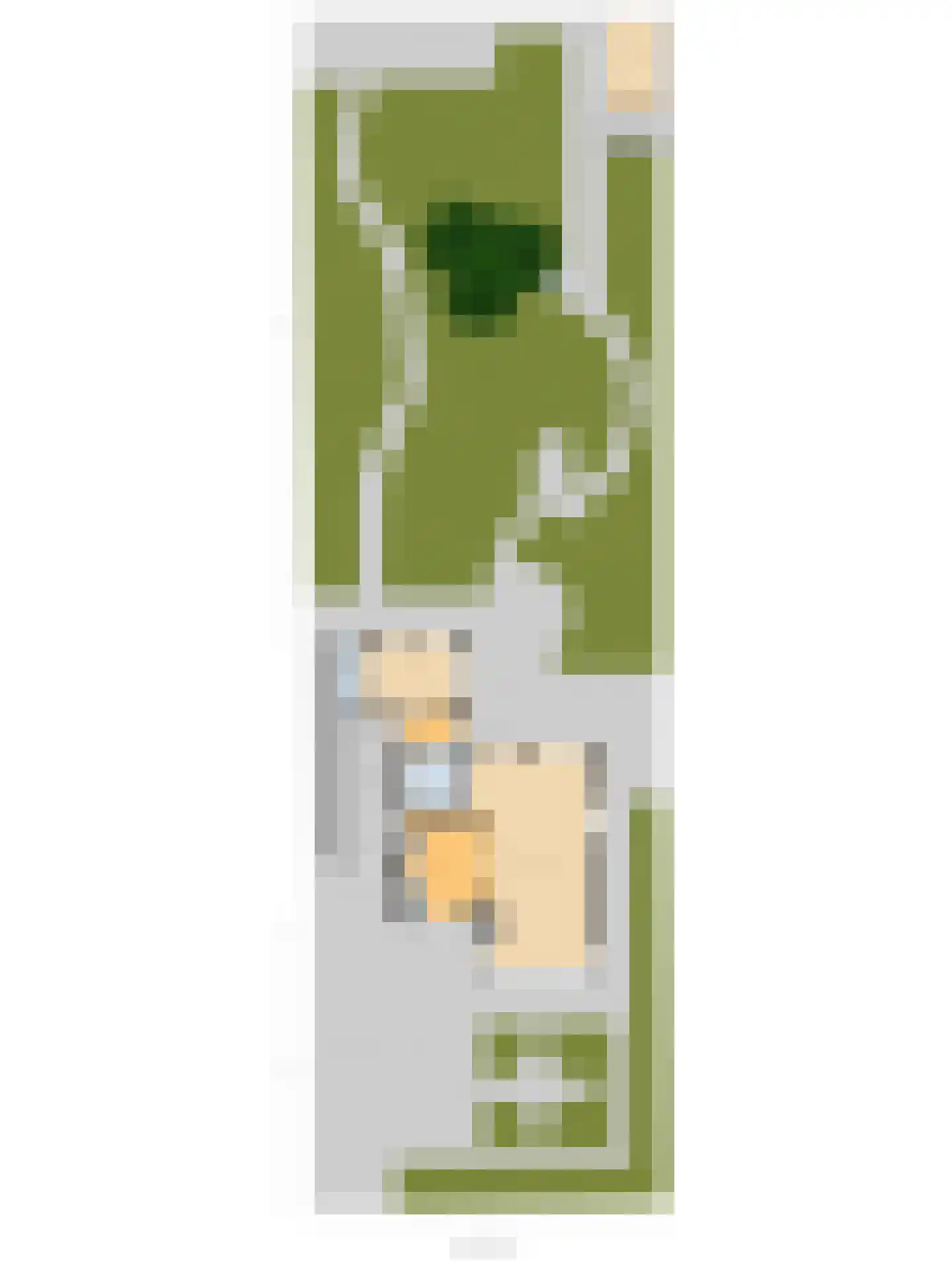 Brugweg 102 B Waddinxveen thumbnail 77