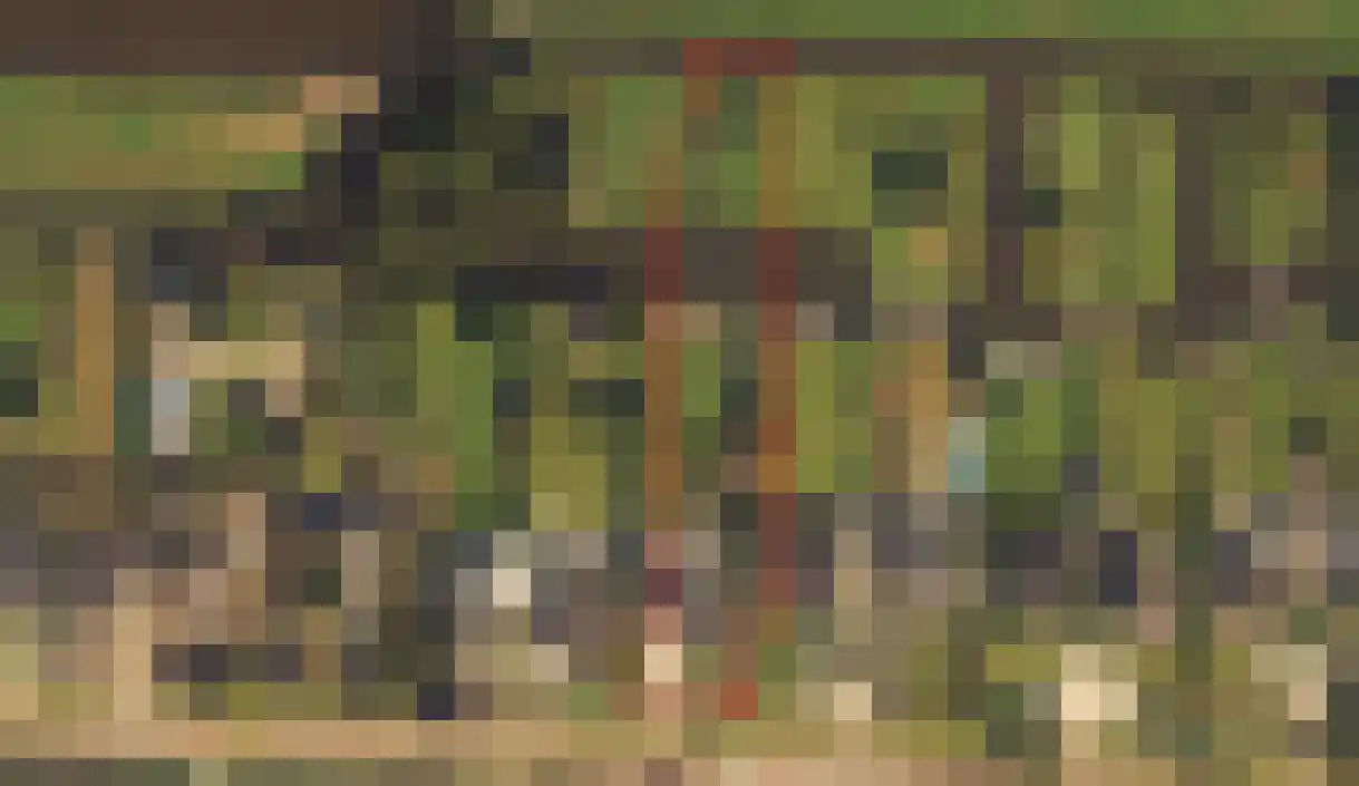 Brugweg 102 B Waddinxveen thumbnail 9