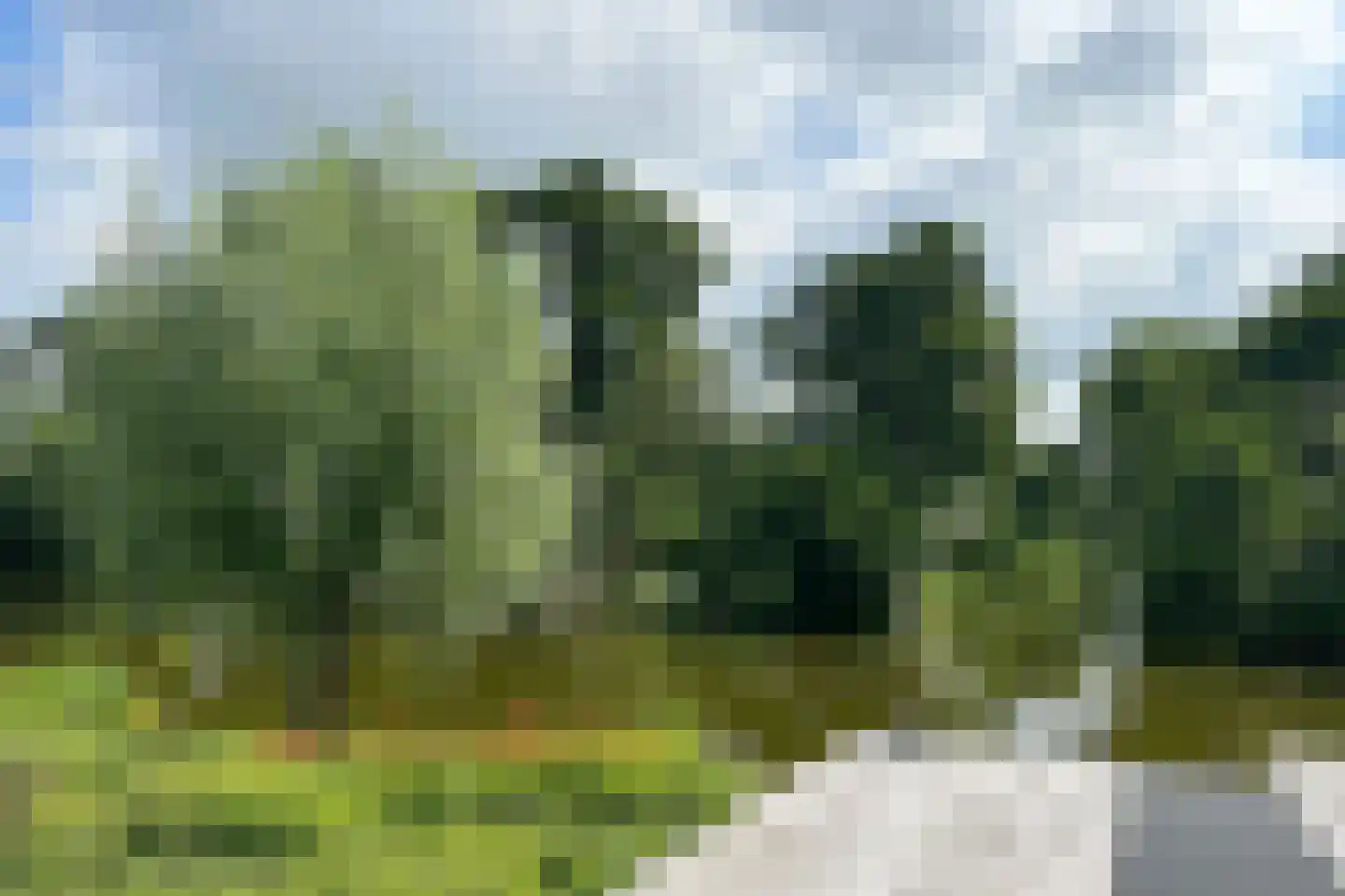 Brugweg 106 B Waddinxveen thumbnail 37
