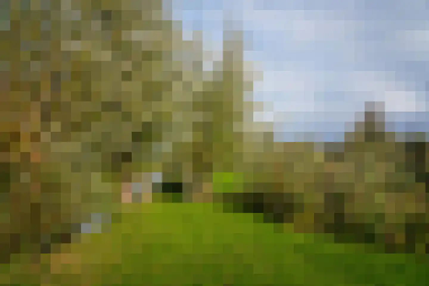 Brugweg 106 B Waddinxveen thumbnail 39