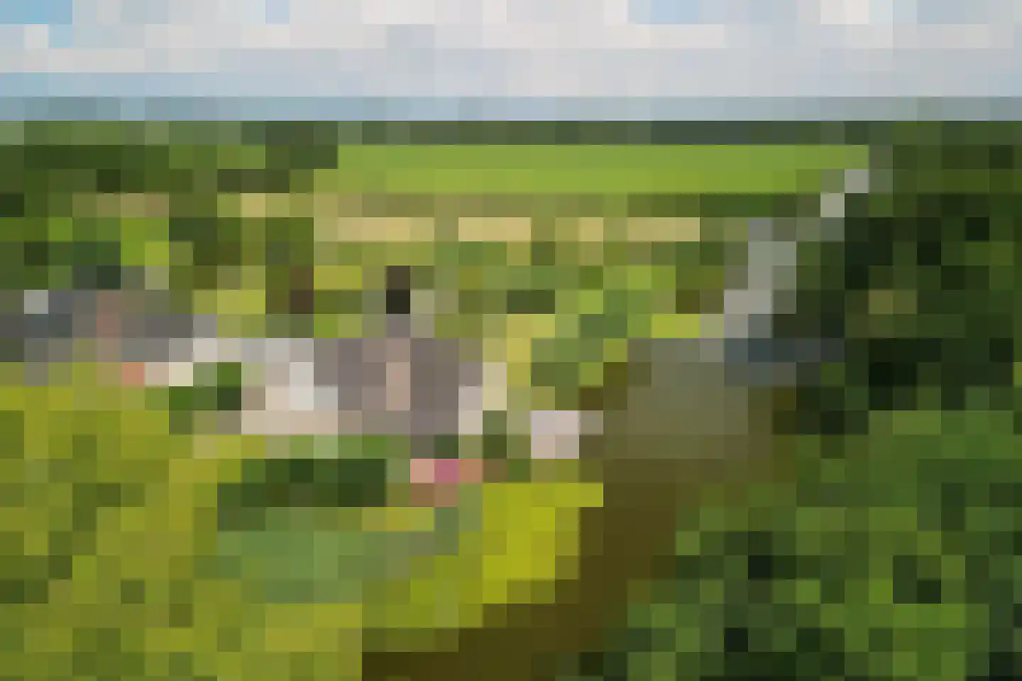 Brugweg 106 B Waddinxveen thumbnail 4