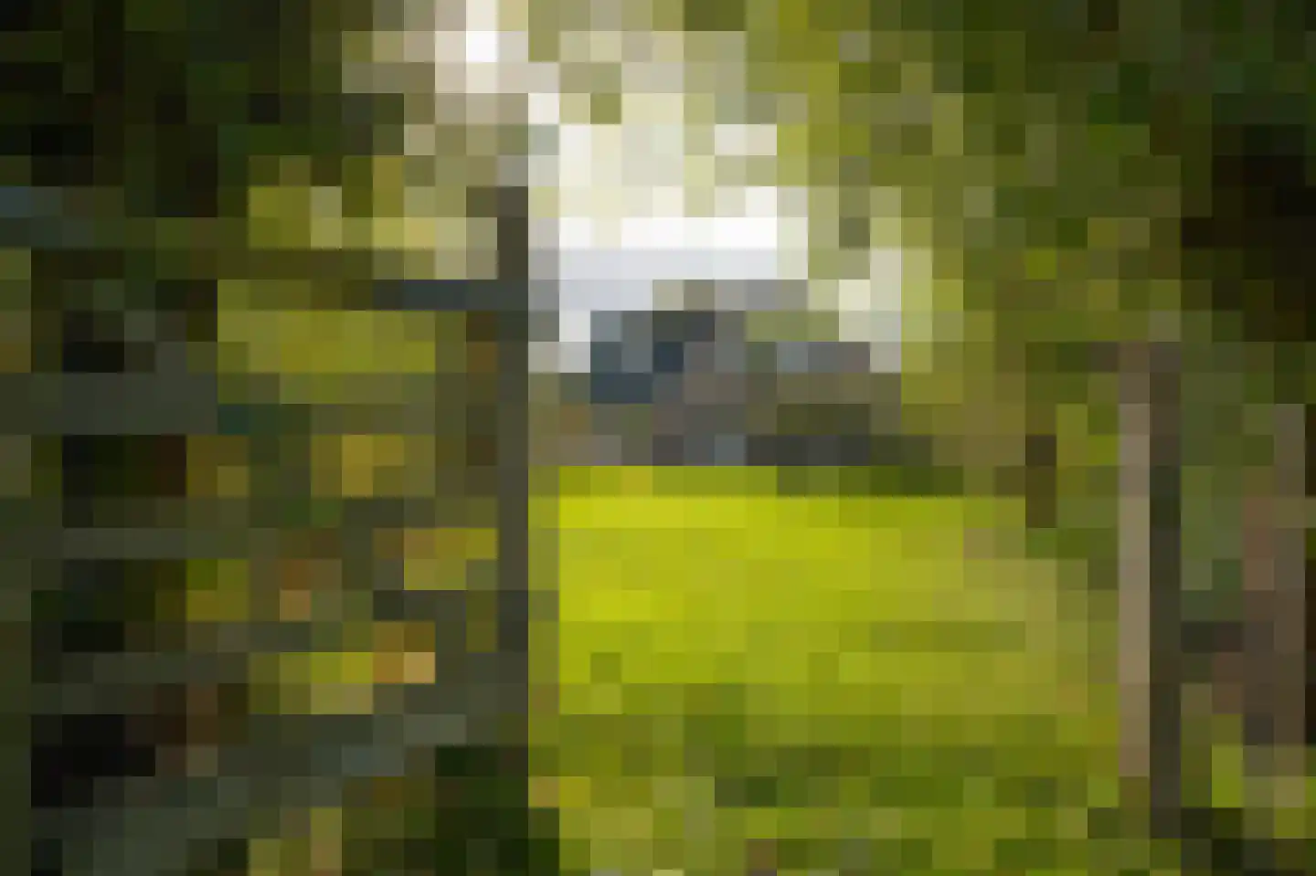 Brugweg 106 B Waddinxveen thumbnail 42