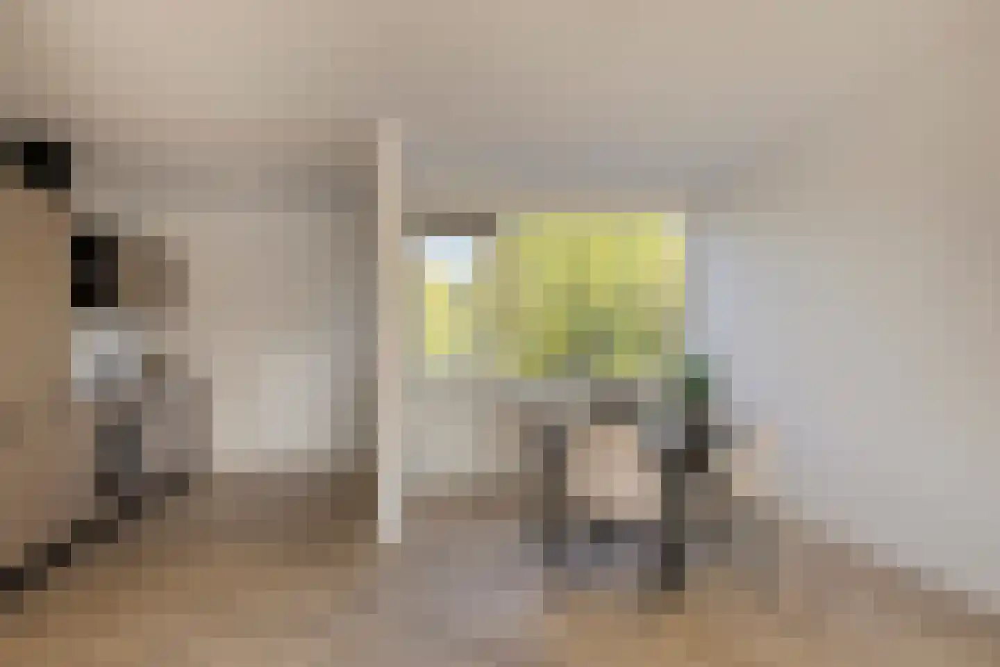 Brugweg 113 Velp thumbnail 10