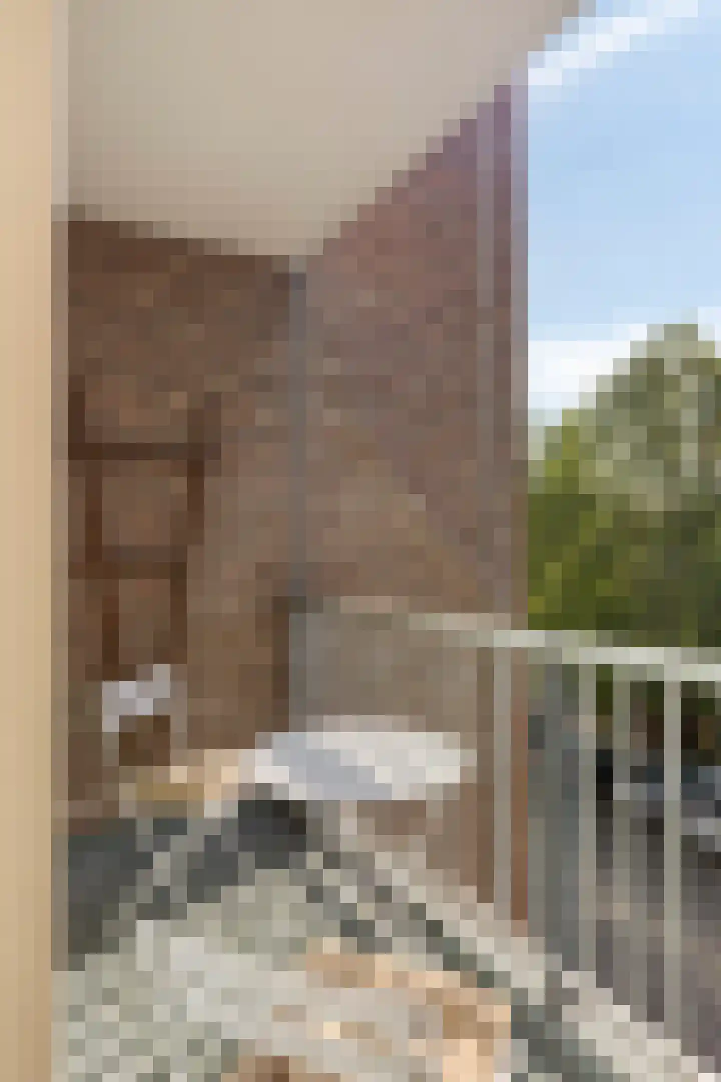 Brugweg 113 Velp thumbnail 21