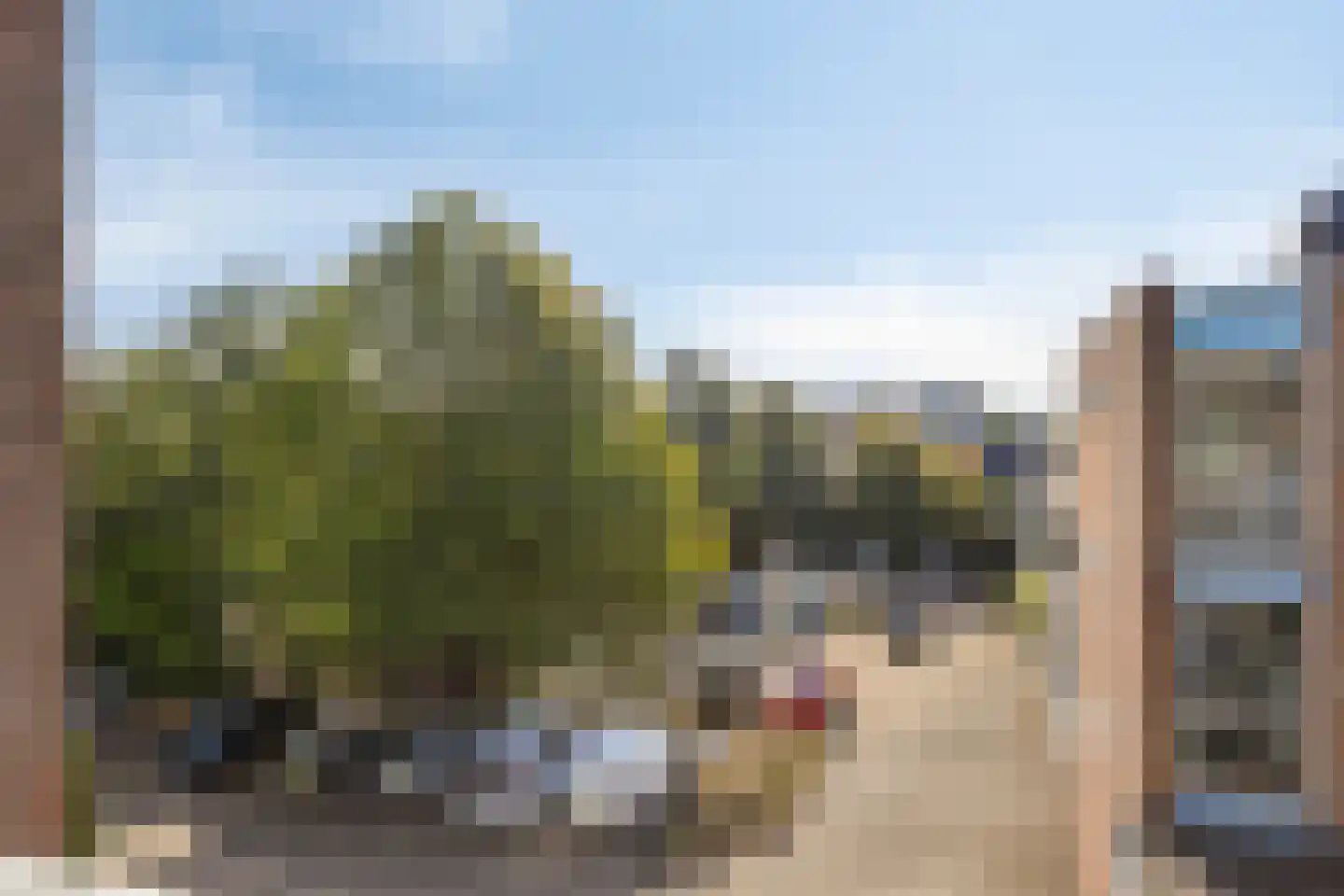 Brugweg 113 Velp thumbnail 23