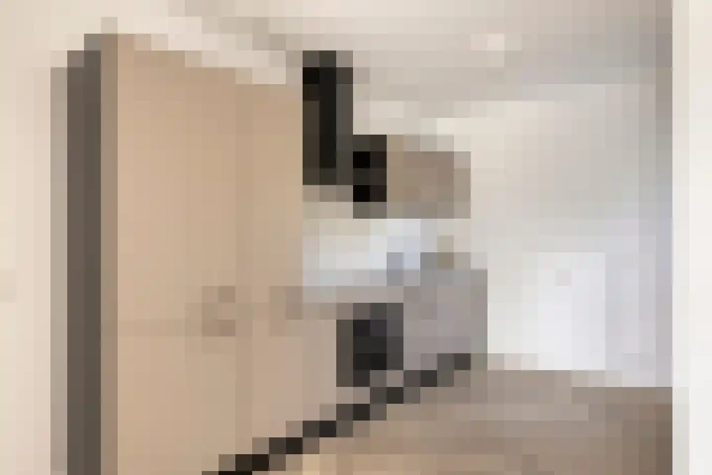 Brugweg 113 Velp thumbnail 9