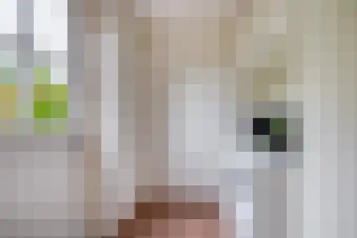 Brugweg 125 H Waddinxveen thumbnail 18