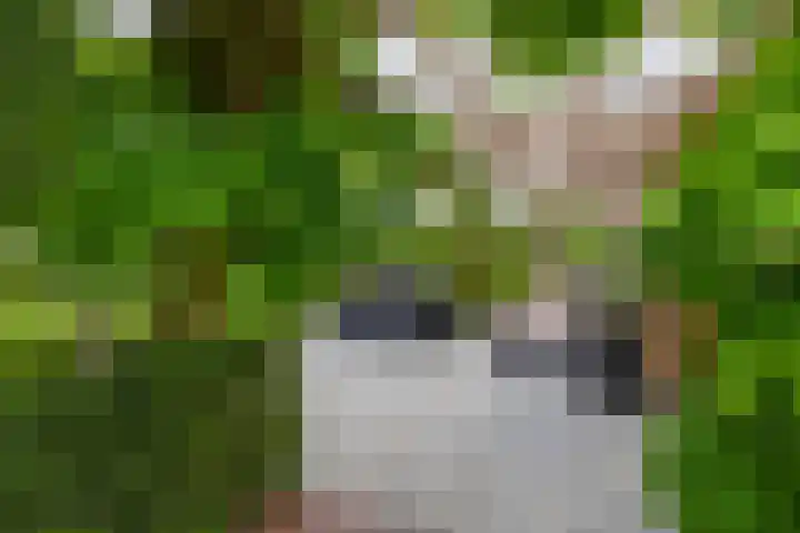 Brugweg 125 H Waddinxveen thumbnail 20