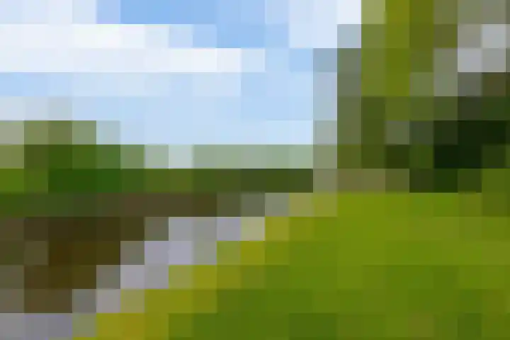 Brugweg 125 H Waddinxveen thumbnail 22