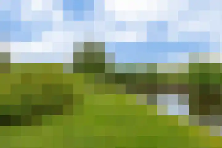 Brugweg 125 H Waddinxveen thumbnail 23