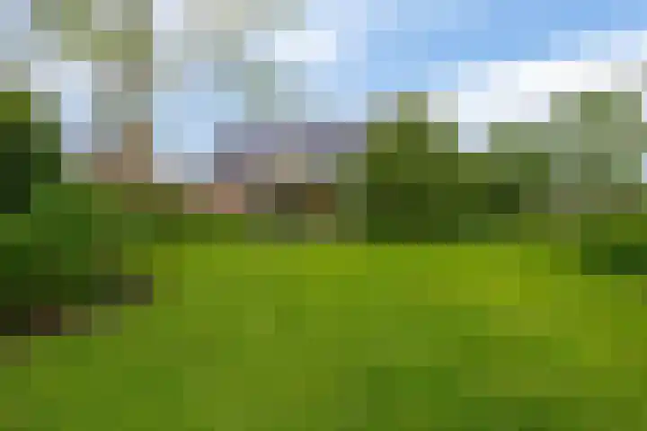 Brugweg 125 H Waddinxveen thumbnail 24