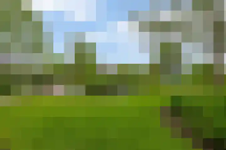 Brugweg 125 H Waddinxveen thumbnail 25