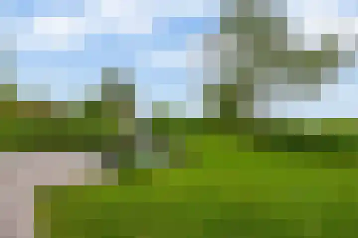 Brugweg 125 H Waddinxveen thumbnail 26