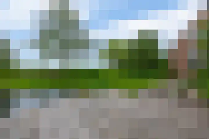 Brugweg 125 H Waddinxveen thumbnail 27