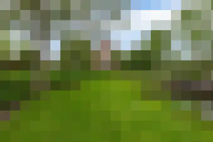 Brugweg 125 H Waddinxveen thumbnail 28