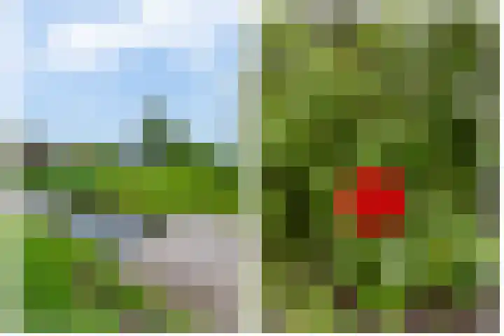 Brugweg 125 H Waddinxveen thumbnail 29
