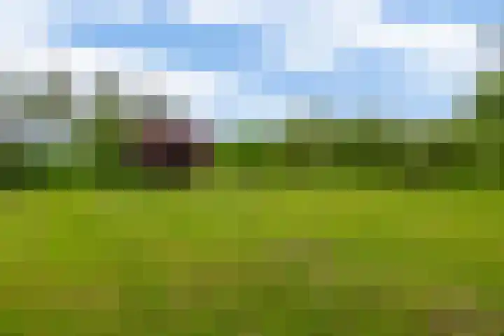 Brugweg 125 H Waddinxveen thumbnail 30