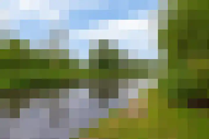 Brugweg 125 H Waddinxveen thumbnail 31