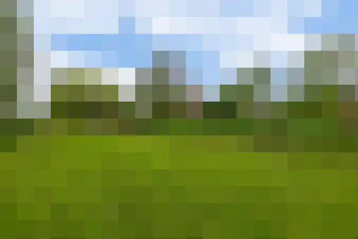 Brugweg 125 H Waddinxveen thumbnail 32