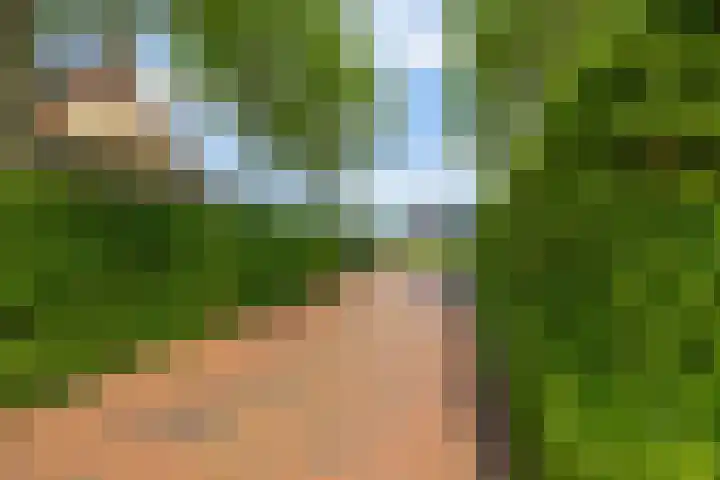 Brugweg 125 H Waddinxveen thumbnail 49
