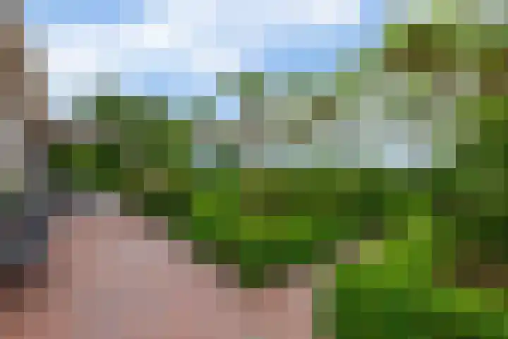 Brugweg 125 H Waddinxveen thumbnail 5