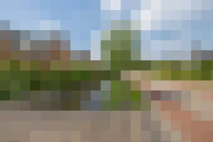 Brugweg 125 H Waddinxveen thumbnail 51