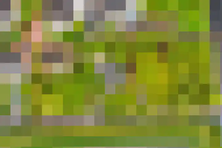 Brugweg 125 H Waddinxveen thumbnail 52