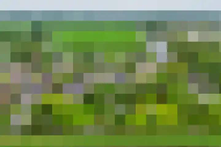 Brugweg 125 H Waddinxveen thumbnail 53