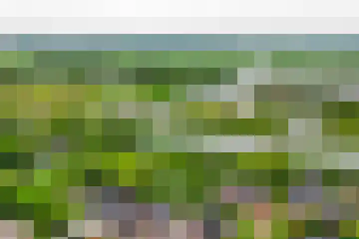 Brugweg 125 H Waddinxveen thumbnail 54