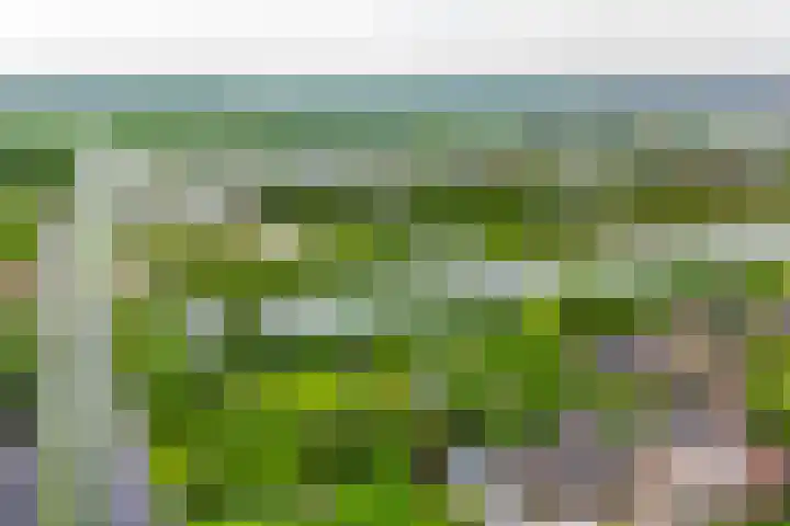 Brugweg 125 H Waddinxveen thumbnail 55