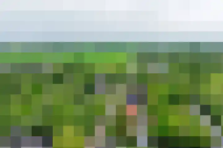 Brugweg 125 H Waddinxveen thumbnail 56