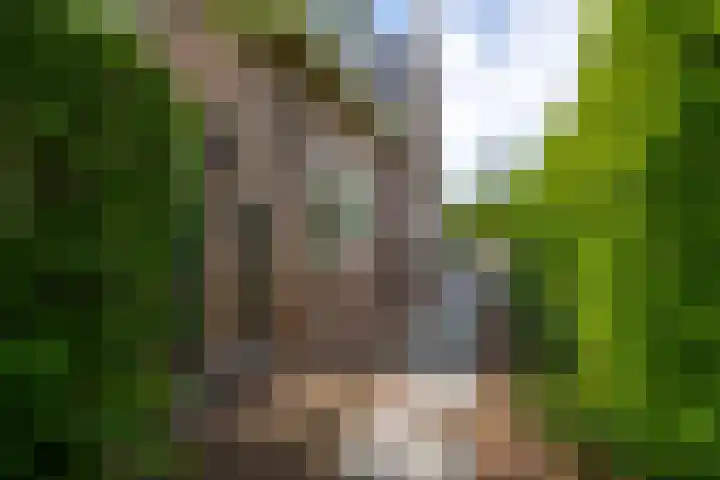 Brugweg 125 H Waddinxveen thumbnail 6