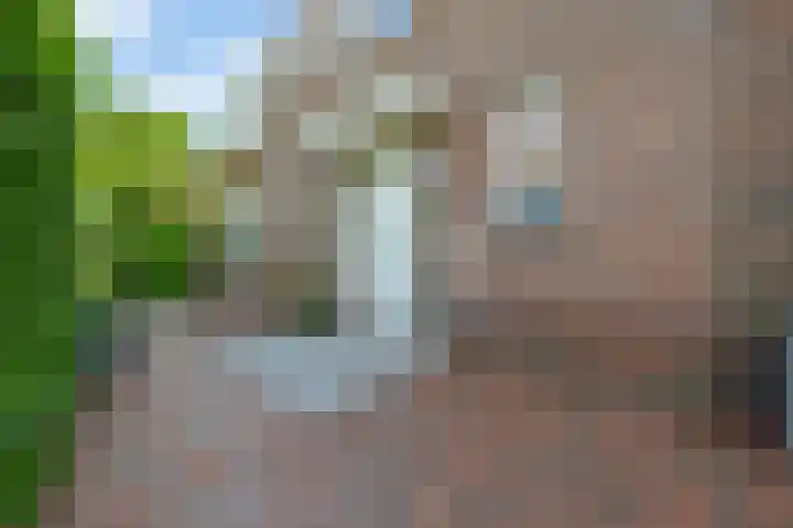 Brugweg 125 H Waddinxveen thumbnail 7