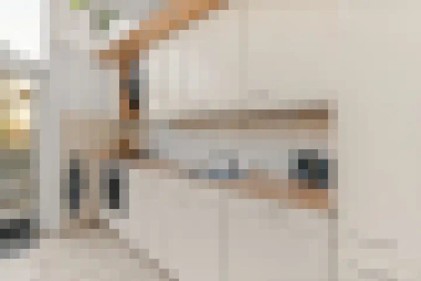 Brugweg 14 Waddinxveen thumbnail 10