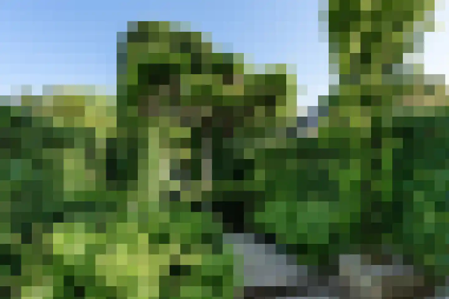 Brugweg 14 Waddinxveen thumbnail 12