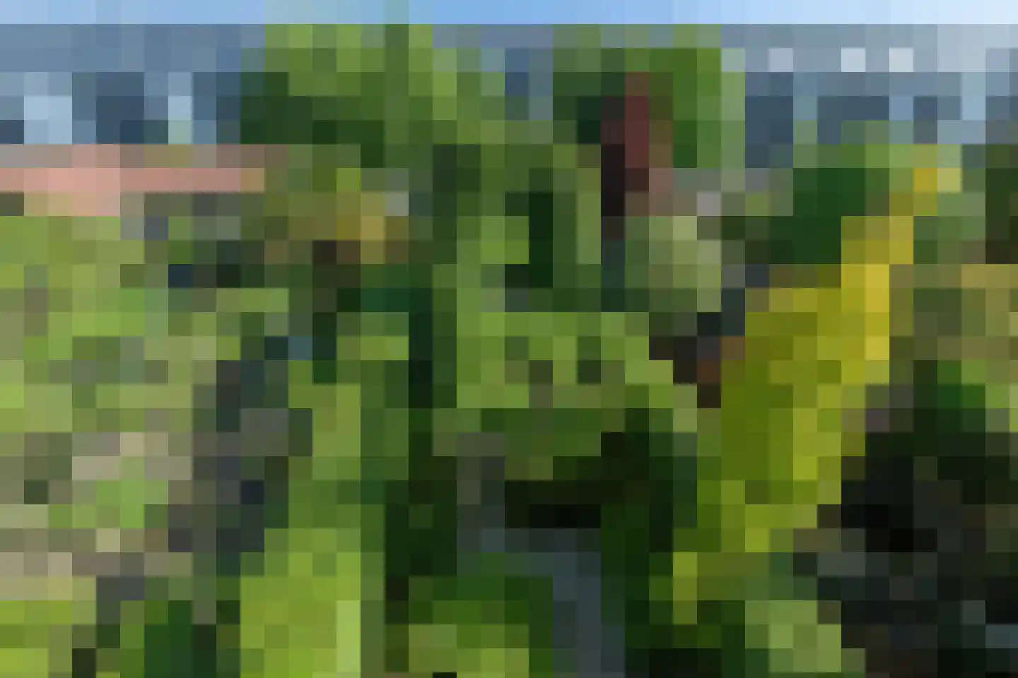 Brugweg 14 Waddinxveen thumbnail 15